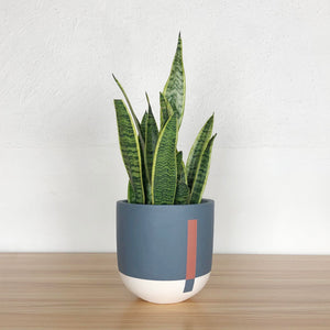 CONNECTED POT | PLANTER