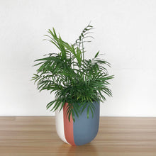 A Colour Block Pot with charcoal and blue vertical blocks, containing a green plant, placed on a wooden floor against a white wall.