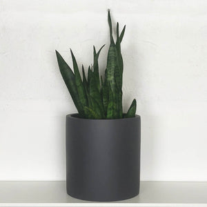 CHARCOAL CYLINDRICAL PLANTING VESSEL