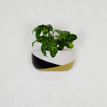 A wall-mounted planter pot with a color block design in black, white, and yellow, containing a green plant.