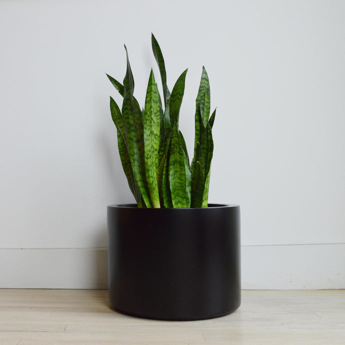 LOW CYLINDER POT | PLANTER