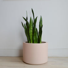 LOW CYLINDER POT | PLANTER