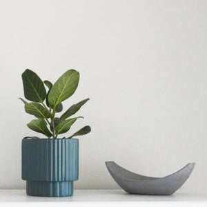 hunter green plant pot with ficus audrey and a cement dish on white shelf.