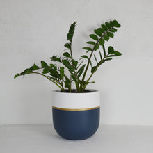GALA POT | PLANTER