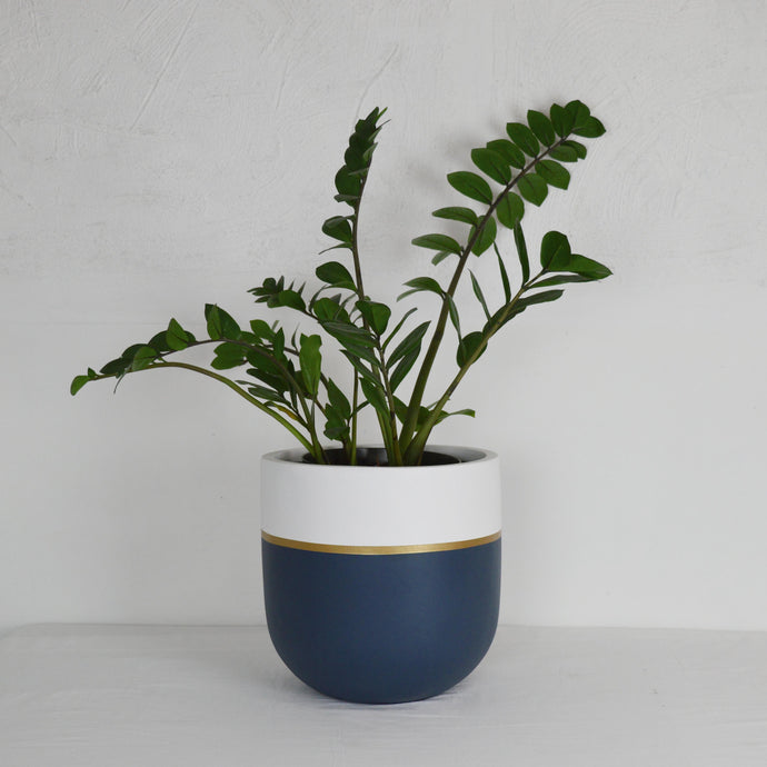 Hand painted modern plant pot with gold trim. Neutral color palette and blends well with all interior and exterior designs and styles. Great for lush plants, trees and florals.