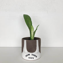 group partner terracotta boob planter with New York city tank top and dark skin tone