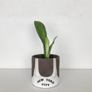 group partner terracotta boob planter with New York city tank top and dark skin tone