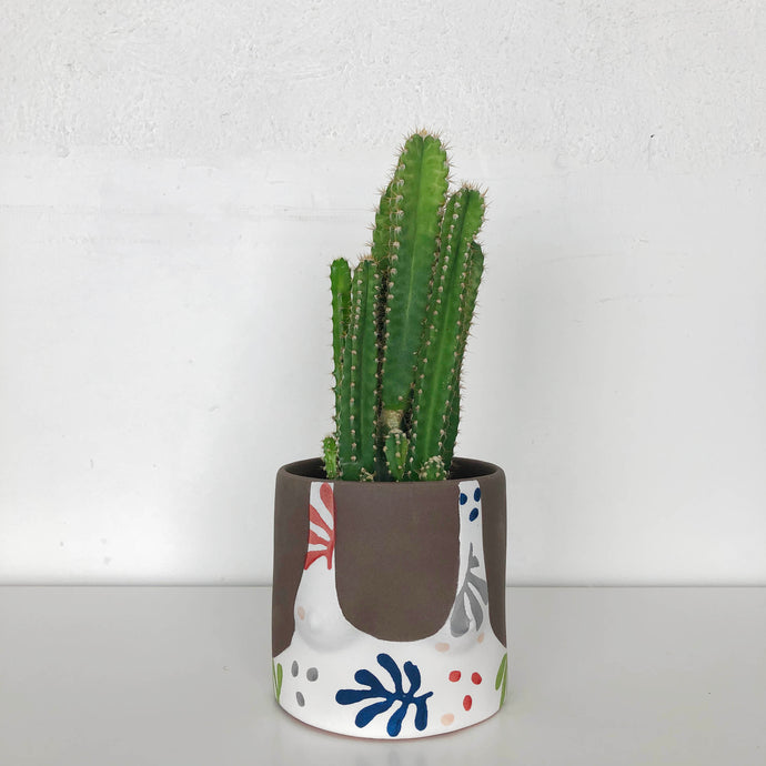 collection of hand painted boob planters