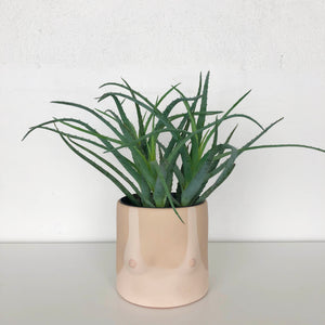group partner nude boob planter with light skin tone