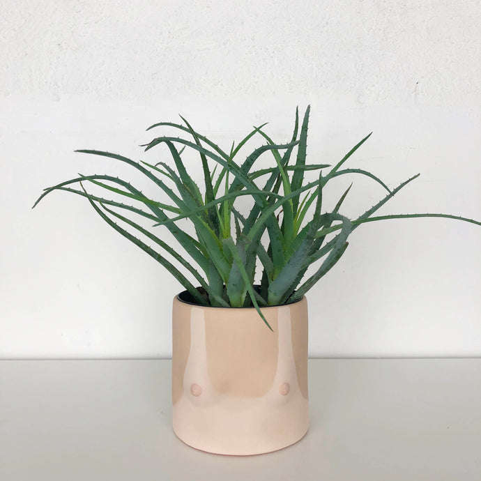 collection of hand painted boob planters