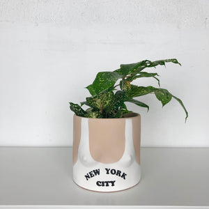 group partner boob planter pot with New York city tank top and light skin tone