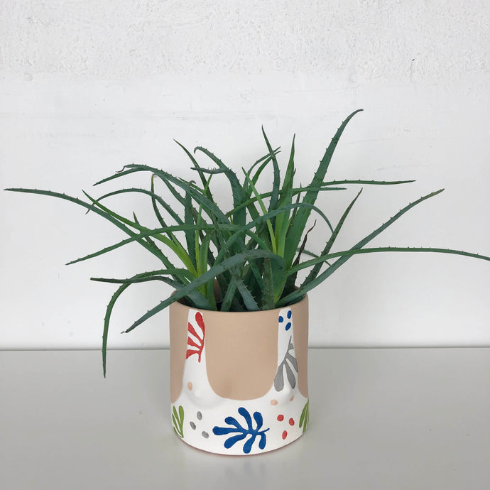 collection of hand painted boob planters