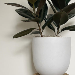 KERRI TEXTURED POT | PLANTER