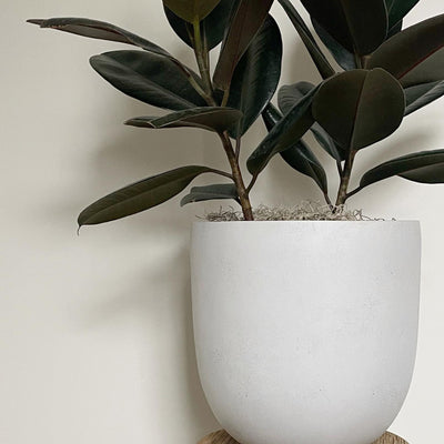 Kerri Textured Planter