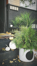 planter with large circle placed outside house entrance