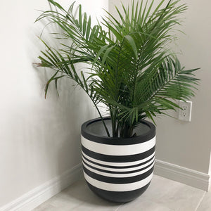 black and white striped plant pot with palm tree