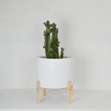 LOW CYLINDER PLANT POT STANDS by KELLY BUILT