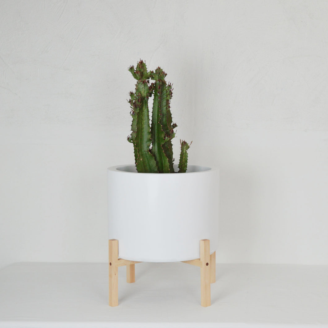LOW CYLINDER PLANT POT STANDS by KELLY BUILT