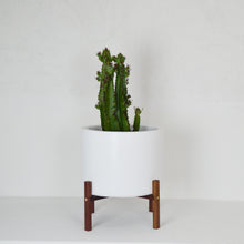 LOW CYLINDER PLANT POT STANDS by KELLY BUILT