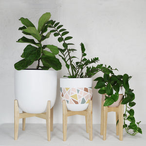 A RANGE OF MAPLE MID CENTURY MODERN PLANT STANDS FROM LARGE TO SMALL WITH HAND PAINTED PLANTER POTS AND LUSCIOUS GREENERY