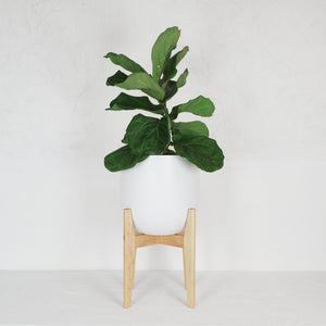 MAPLE WOOD PLANT STAND WITH SMOOTH EDGES AND RETRO VIBES