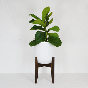 DARK WALNUT PLANT STAND WITH MCM DESIGN