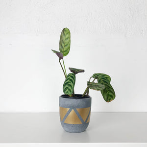 MINI POTS | PLANTERS