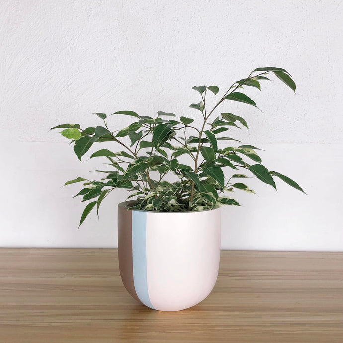 COLOUR BLOCK POT | PLANTER