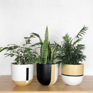 CONNECTED POT | PLANTER