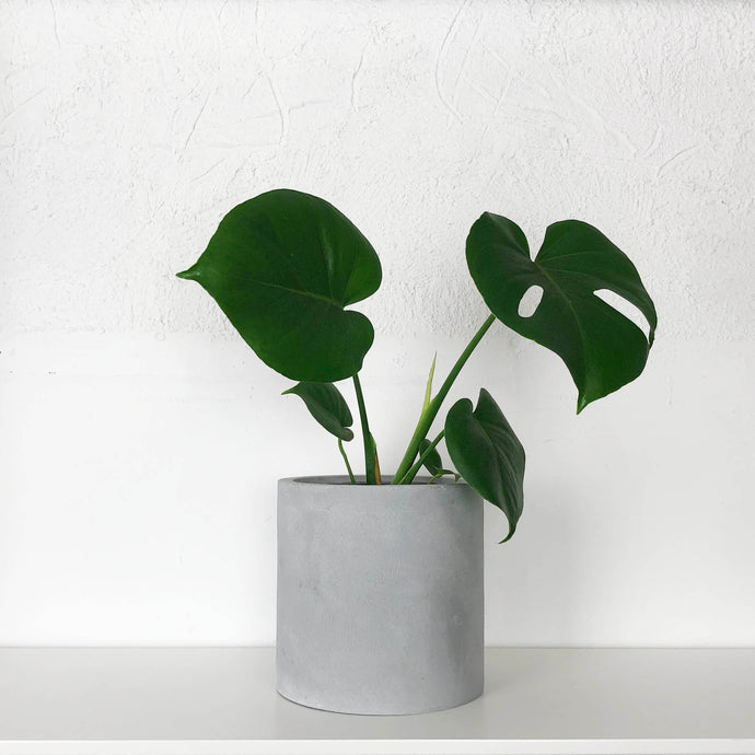 Fiberstone Cylinder Planter Grey | Pot