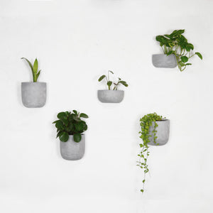 collection of cement/concrete looking wall planters