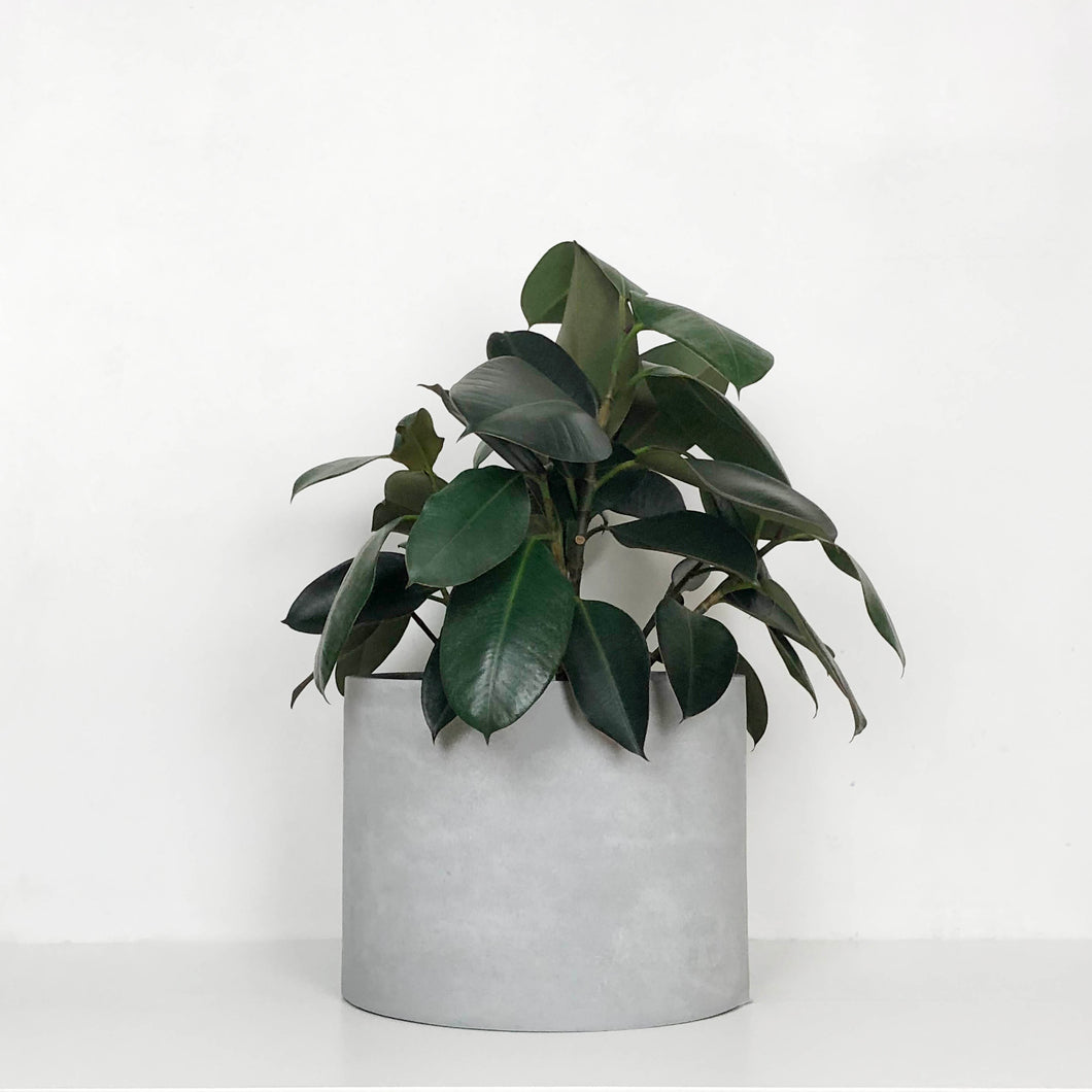 NATURAL LOW CYLINDER | PLANTER