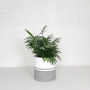 REFLECTION CYLINDER POT | PLANTER