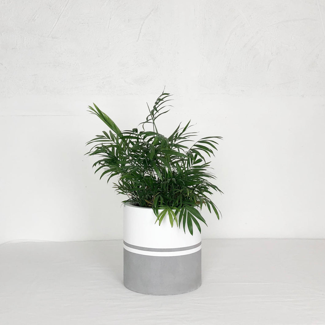 REFLECTION CYLINDER POT NATURAL | PLANTER