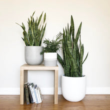REFLECTION CYLINDER POT | PLANTER