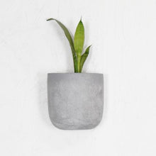 cement looking wall pot