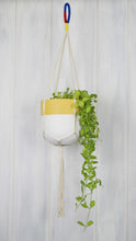 tone toned yellow and white planter pot hanging from a cream cotton plant hanger with a primary coloured hook