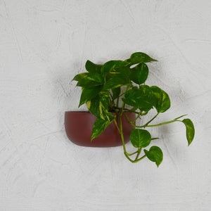 SOLID SHORT WALL PLANTER | POT