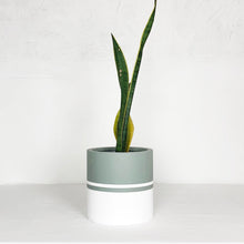 REFLECTION CYLINDER POT | PLANTER