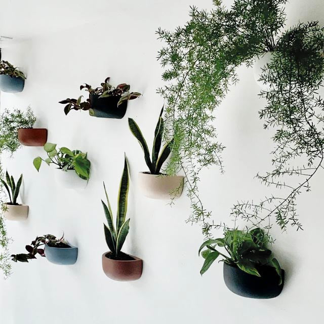 A series of hand painted black wall planters of various sizes mounted on a white wall, with plants inside.