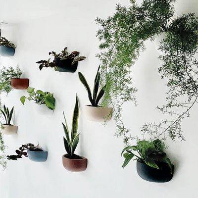 Short Wall Hanging Planter | Pot