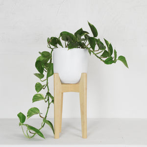 MID CENTURY MODERN PLANT STAND IN MAPLE WOOD WITH WHITE PLANTER POT AND TRAILING POTHOS PLANT