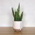 SMALL / SOFT PINK/SKY/MOCHA / Yes