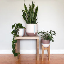 grouping of blush planters with oak plant stands
