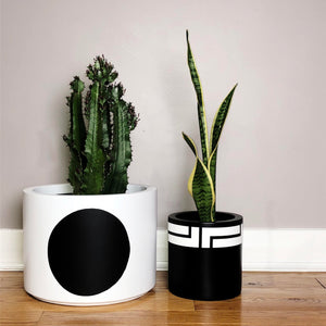 white circle cylinder with large cactus next to a smaller black cylinder with  mayan decor inspired pattern