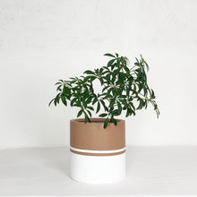 REFLECTION CYLINDER POT | PLANTER