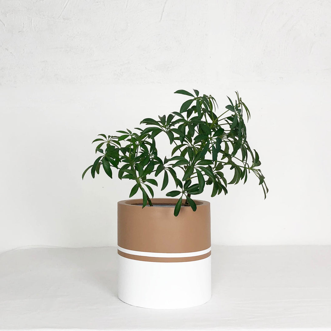 REFLECTION CYLINDER POT SPICE | PLANTER