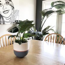planter on oak kitchen table with painting of girl in background