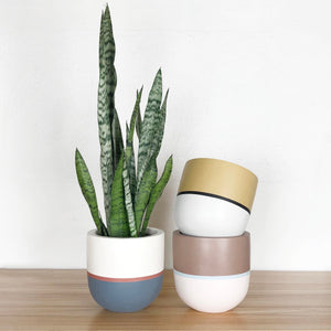 trio of single stripe plant pots with contrasting colours