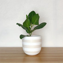 Hand painted matte beige and white striped plant pot with drainage hole. Great planter  for large and small plants and trees. Great for setting on the floor for an aesthetic look.